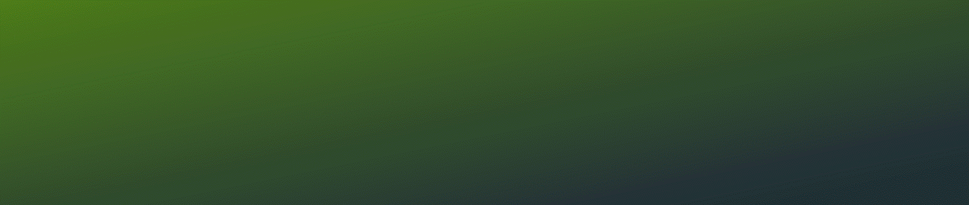 Experiential Motion Graphics Design Project - Spurs Wins